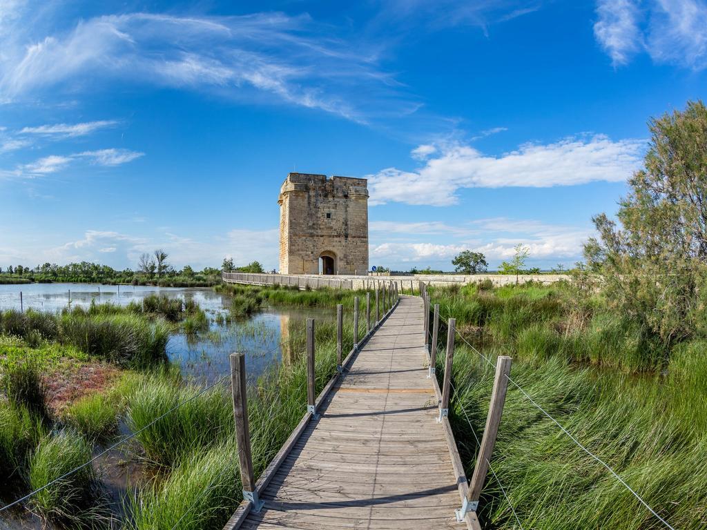 Artemia Aigues-Mortes - Hotel Avec Piscine Exteriér fotografie